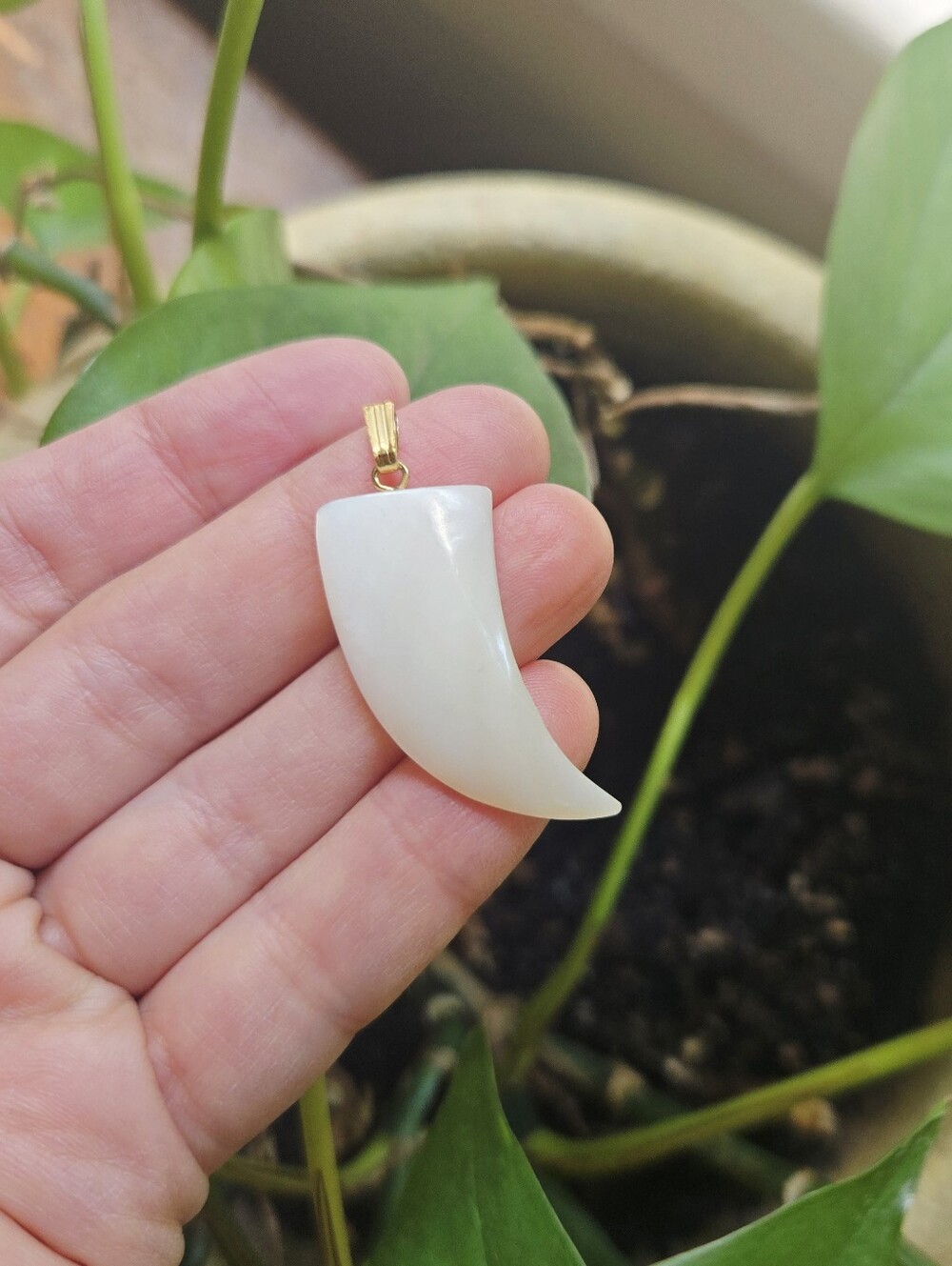 Mother of Pearl Fang Claw Tooth Pendant – Natural Shell Fang Necklace Charm